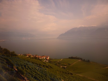 Copy of August 2010 180