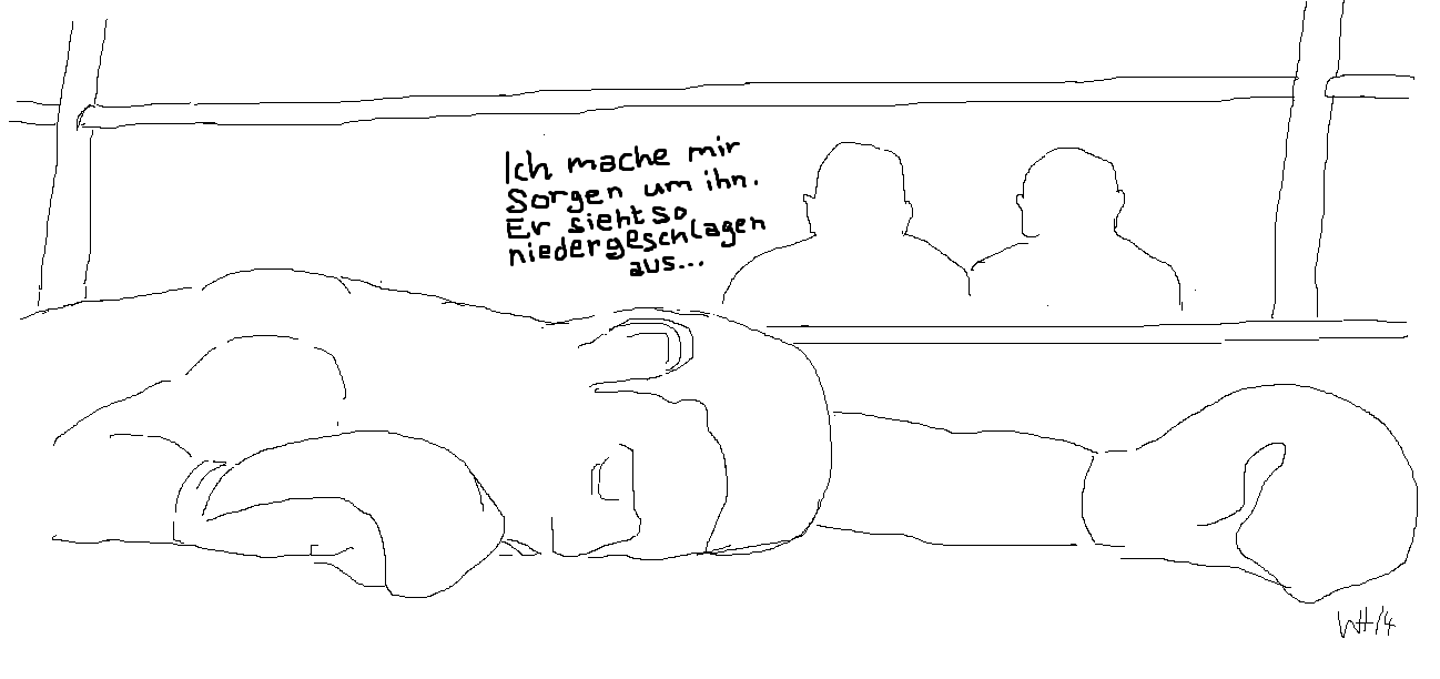 11) November - BOXER